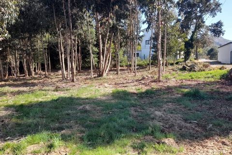 Helårsgrund i Caminha, Viana do Castelo, Caminha - € 130.000 | Ref: L-08/6874 - foto 17