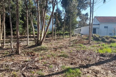 Helårsgrund i Caminha, Viana do Castelo, Caminha - € 130.000 | Ref: L-08/6874 - foto 18