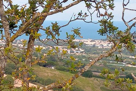 Villa a Monterubbiano, Fermo, Monterubbiano - € 500.000 | Ref: 7072 - foto 2