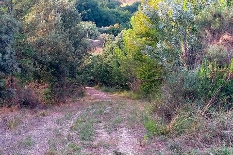 Villa a Monterubbiano, Fermo, Monterubbiano - € 500.000 | Ref: 7072 - foto 13