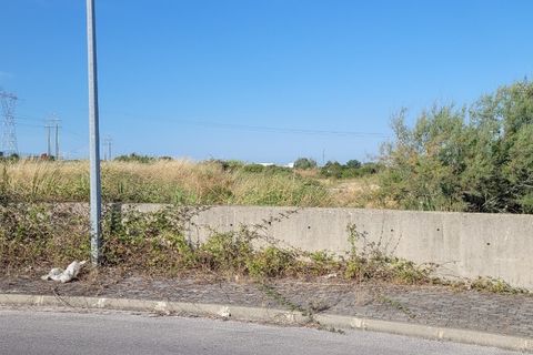 Tomt i Azambuja, Lisbon, Azambuja - € 2 382 500 | Ref: pt3326 - foto 2