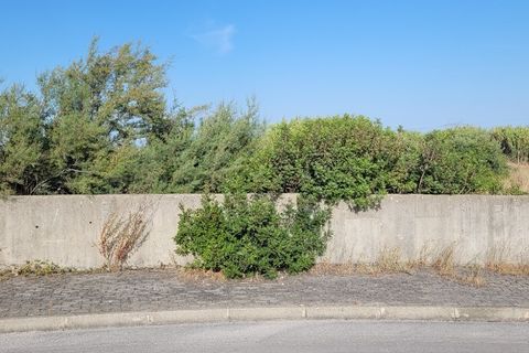 Tomt i Azambuja, Lisbon, Azambuja - € 2 382 500 | Ref: pt3326 - foto 3
