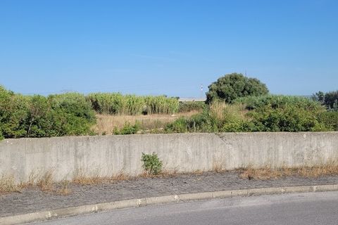 Tomt i Azambuja, Lisbon, Azambuja - € 2 382 500 | Ref: pt3326 - foto 4