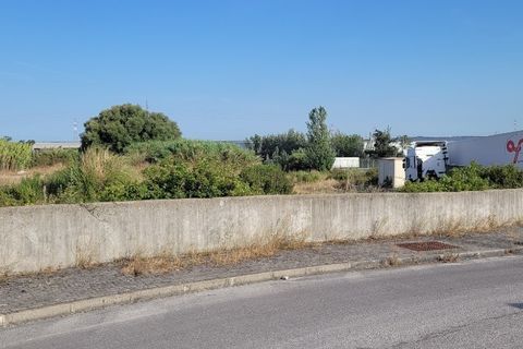 Tomt i Azambuja, Lisbon, Azambuja - € 2 382 500 | Ref: pt3326 - foto 5