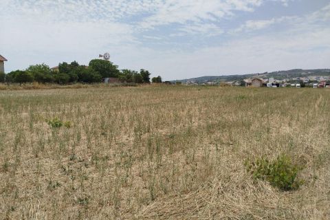 Helårsgrund i Alenquer, Lisbon, Alenquer - € 1.300.000 | Ref: ptm4644 - foto 4