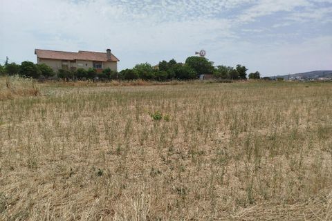 Helårsgrund i Alenquer, Lisbon, Alenquer - € 1.300.000 | Ref: ptm4644 - foto 5