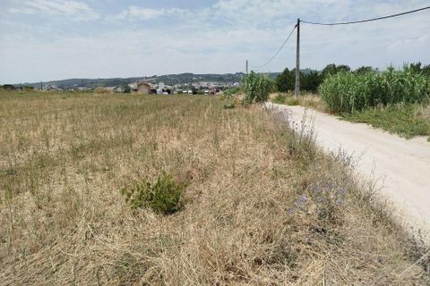 Helårsgrund i Alenquer, Lisbon, Alenquer - € 1.300.000 | Ref: ptm4644 - foto 7