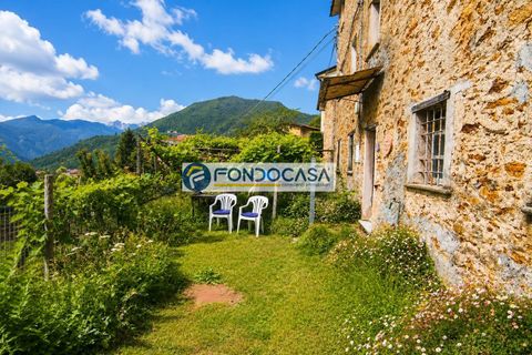 Herregård i Stazzema, Lucca, Stazzema - € 100 000 | Ref: fdm701 - foto 3