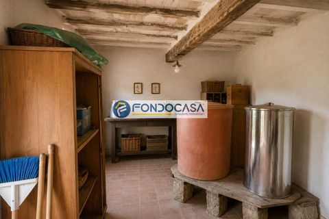 Herregård i Stazzema, Lucca, Stazzema - € 100 000 | Ref: fdm701 - foto 16