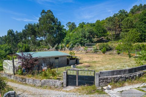 Helårsgrund i Vila Verde, Braga, Vila Verde - € 55.000 | Ref: 01-3847 - foto 13