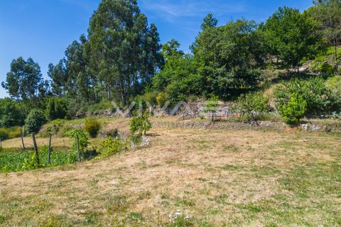 Helårsgrund i Vila Verde, Braga, Vila Verde - € 55.000 | Ref: 01-3847 - foto 14