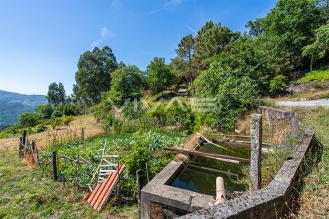 Helårsgrund i Vila Verde, Braga, Vila Verde - € 55.000 | Ref: 01-3847 - foto 20