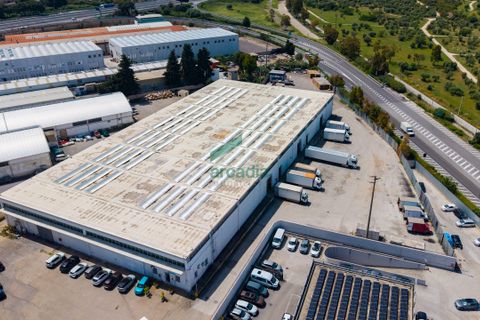Erhvervsejendom i Modugno, Bari, Modugno - € 2.000.000 | Ref: 12052/2026 - foto 1