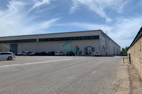 Erhvervsejendom i Modugno, Bari, Modugno - € 2.000.000 | Ref: 12052/2026 - foto 3