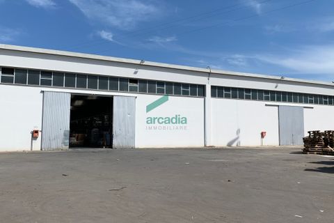 Erhvervsejendom i Modugno, Bari, Modugno - € 2.000.000 | Ref: 12052/2026 - foto 4