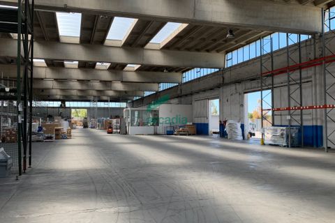 Erhvervsejendom i Modugno, Bari, Modugno - € 2.000.000 | Ref: 12052/2026 - foto 7