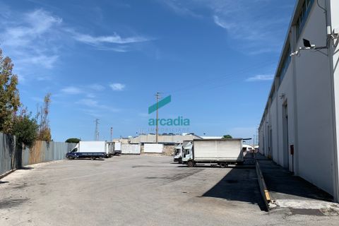 Erhvervsejendom i Modugno, Bari, Modugno - € 2.000.000 | Ref: 12052/2026 - foto 17