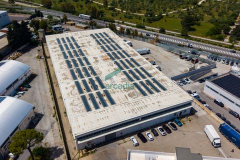 Erhvervsejendom i Modugno, Bari, Modugno - € 2.000.000 | Ref: 12052/2026 - foto 24