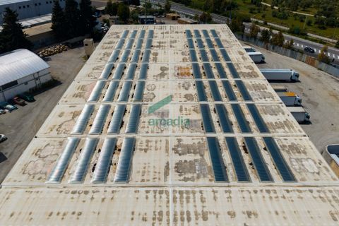 Erhvervsejendom i Modugno, Bari, Modugno - € 2.000.000 | Ref: 12052/2026 - foto 27