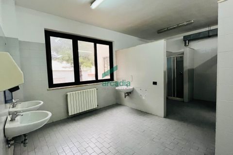 L'establiment comercial a Bari, Bari, Bari - € 300.000 | Ref: 12054/2026 - foto 8