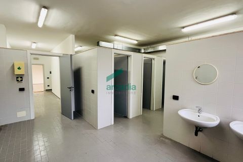 L'establiment comercial a Bari, Bari, Bari - € 300.000 | Ref: 12054/2026 - foto 9