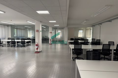 L'establiment comercial a Bari, Bari, Bari - € 280.000 | Ref: 12055/2026 - foto 2