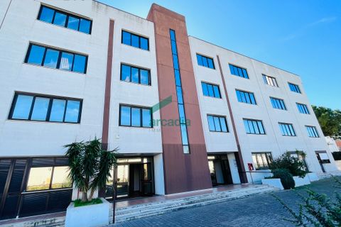 L'establiment comercial a Bari, Bari, Bari - € 280.000 | Ref: 12055/2026 - foto 35