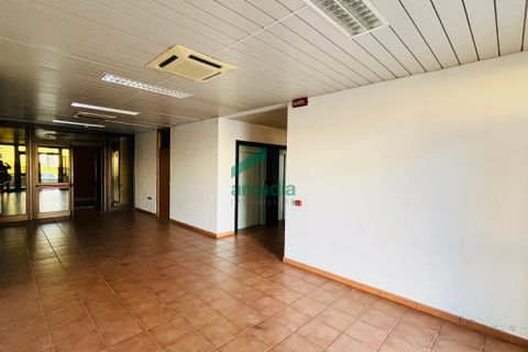 L'establiment comercial a Bari, Bari, Bari - € 580.000 | Ref: 12056/2026 - foto 8