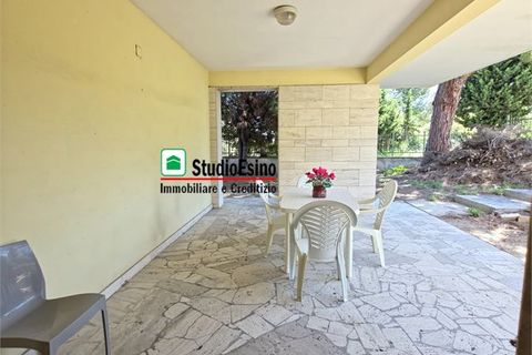Villa a Grottammare, Ascoli Piceno, Grottammare - € 420.000 | Ref: ASA-001 - foto 4