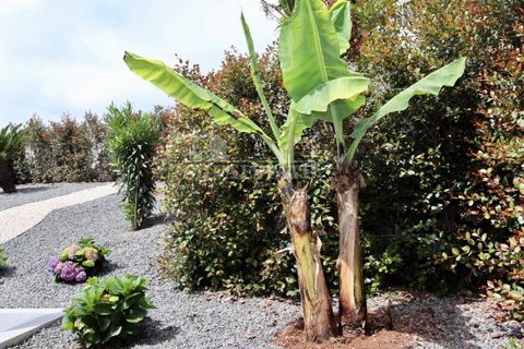 Villa i Santana, Madeira, Santana - € 650.000 | Ref: CAS_580 - foto 50