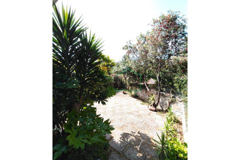 Byhus i Caminha, Viana do Castelo, Caminha - € 345.000 | Ref: 2268 - foto 34