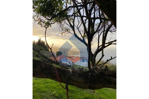 Villa i Sao Roque do Pico, Pico, Sao Roque do Pico - € 50.000 | Ref: AZO1-0056 - foto 12