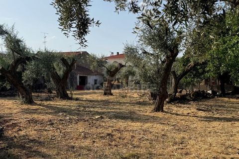 Villa i Soalheira, Castelo Branco, Soalheira - € 398.000 | Ref: OSE26039.RM - foto 6