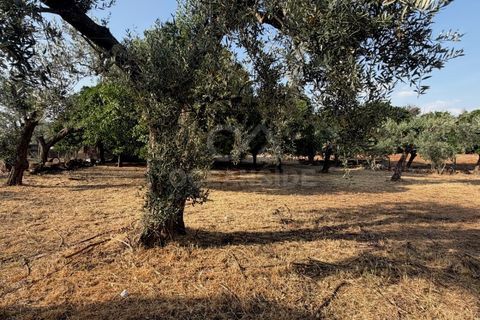 Villa i Soalheira, Castelo Branco, Soalheira - € 398.000 | Ref: OSE26039.RM - foto 7