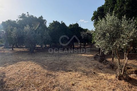 Villa i Soalheira, Castelo Branco, Soalheira - € 398.000 | Ref: OSE26039.RM - foto 9