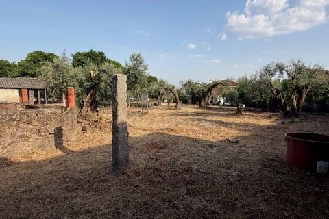 Villa i Soalheira, Castelo Branco, Soalheira - € 398.000 | Ref: OSE26039.RM - foto 10