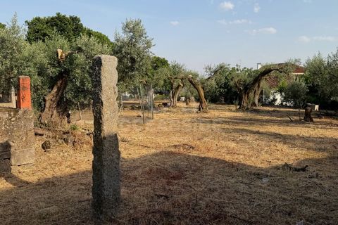 Villa i Soalheira, Castelo Branco, Soalheira - € 398.000 | Ref: OSE26039.RM - foto 11