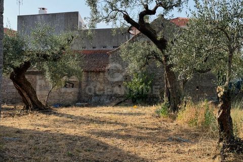 Villa i Soalheira, Castelo Branco, Soalheira - € 398.000 | Ref: OSE26039.RM - foto 12
