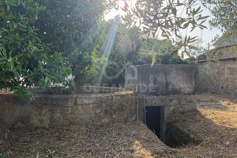 Villa i Soalheira, Castelo Branco, Soalheira - € 398.000 | Ref: OSE26039.RM - foto 13