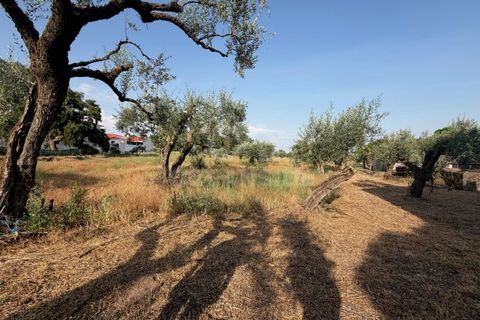 Villa i Soalheira, Castelo Branco, Soalheira - € 398.000 | Ref: OSE26039.RM - foto 14