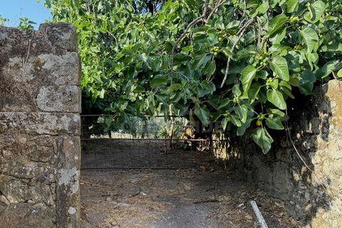 Villa i Soalheira, Castelo Branco, Soalheira - € 398.000 | Ref: OSE26039.RM - foto 31