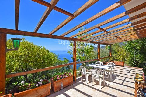 Villa i Ospedaletti, Imperia, Ospedaletti - € 385.000 | Ref: 1V53 - foto 2