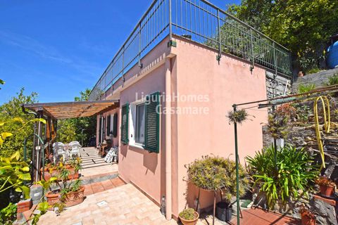 Villa i Ospedaletti, Imperia, Ospedaletti - € 385.000 | Ref: 1V53 - foto 3