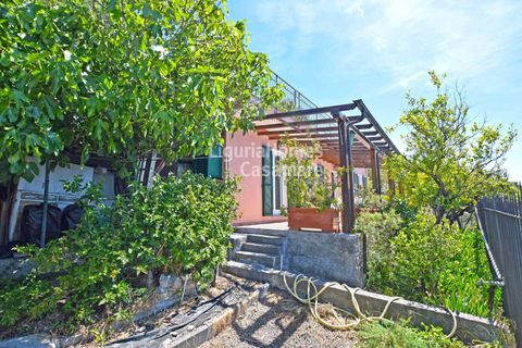 Villa i Ospedaletti, Imperia, Ospedaletti - € 385.000 | Ref: 1V53 - foto 8