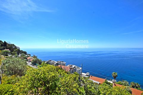 Villa i Ospedaletti, Imperia, Ospedaletti - € 385.000 | Ref: 1V53 - foto 9