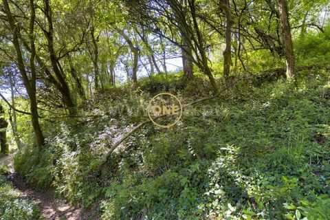 Helårsgrund i Amares, Braga, Amares - € 6.000 | Ref: ONE142007-2 - foto 4
