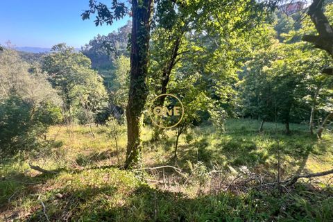 Helårsgrund i Amares, Braga, Amares - € 22.000 | Ref: ONE141548-40 - foto 5