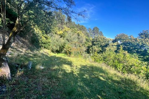 Helårsgrund i Amares, Braga, Amares - € 22.000 | Ref: ONE141548-40 - foto 6