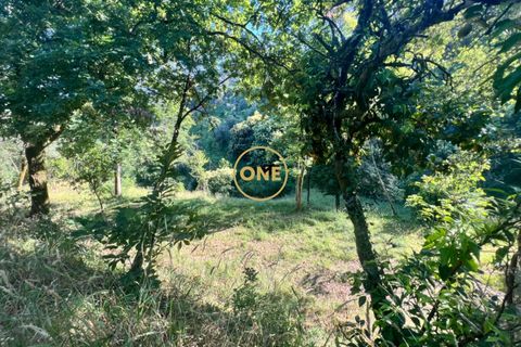 Helårsgrund i Amares, Braga, Amares - € 22.000 | Ref: ONE141548-40 - foto 7