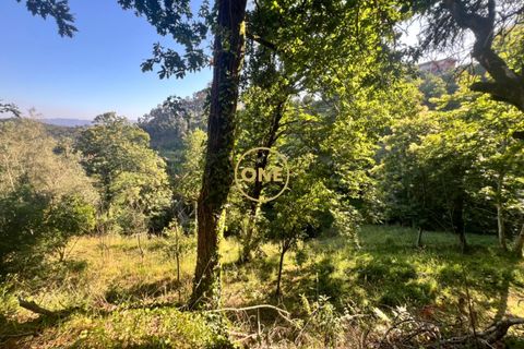 Helårsgrund i Amares, Braga, Amares - € 22.000 | Ref: ONE141548-40 - foto 8